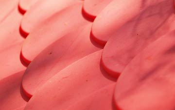 Wynford Eagle plastic roof costs