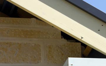 soffit repair Wynford Eagle